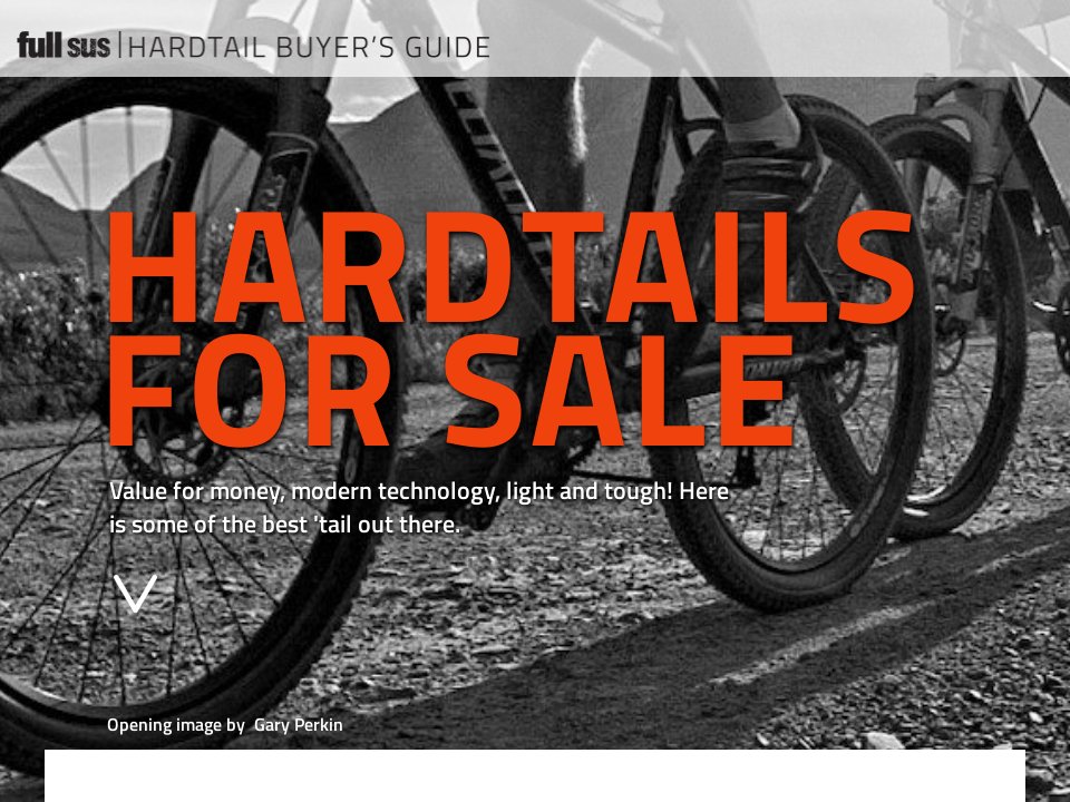 best budget hardtail 2021